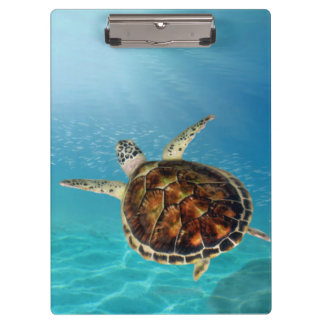 Porte-bloc Tortue nageant sous l'eau