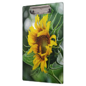 Porte-bloc Tournesol (Gauche)