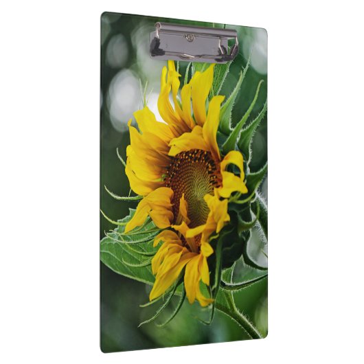 Porte-bloc Tournesol (Swatch)