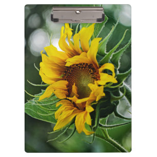 Porte-bloc Tournesol