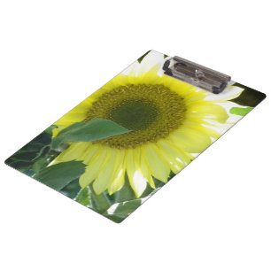Porte-bloc Tournesol de lumière du soleil