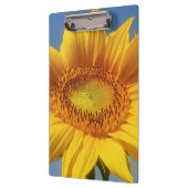 Porte-bloc Tournesol jaune (Gauche)