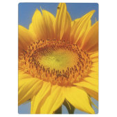 Porte-bloc Tournesol jaune (Dos)