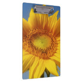 Porte-bloc Tournesol jaune (Swatch)