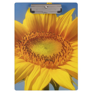 Porte-bloc Tournesol jaune