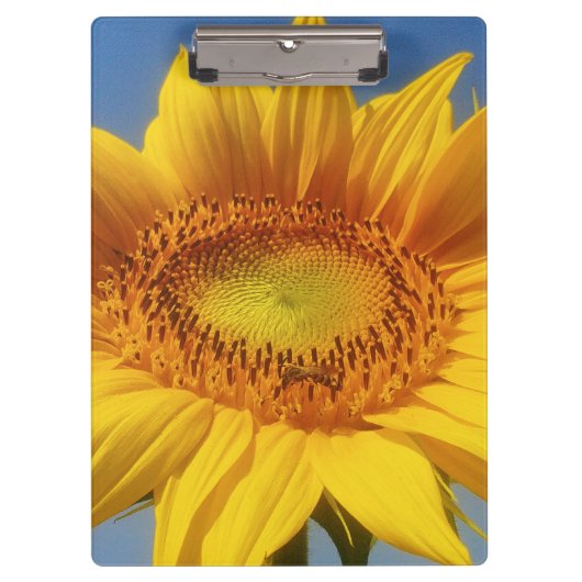 Porte-bloc Tournesol jaune (Devant)