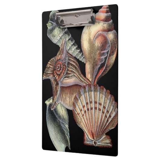 Porte-bloc Trésors de la mer (Gauche)