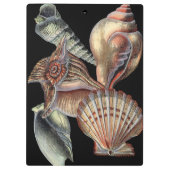 Porte-bloc Trésors de la mer (Dos)