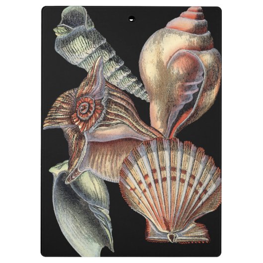 Porte-bloc Trésors de la mer (Dos)