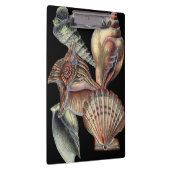 Porte-bloc Trésors de la mer (Swatch)