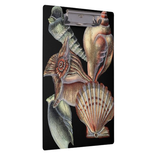 Porte-bloc Trésors de la mer (Swatch)