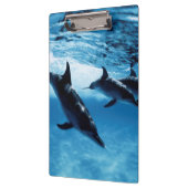 Porte-bloc Trio de Dolphins (Gauche)