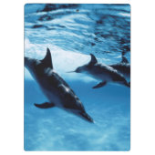 Porte-bloc Trio de Dolphins (Dos)