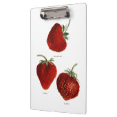 Porte-bloc Trio fraise vintage (Gauche)