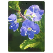 Porte-bloc Trois fleurs bleues (Dos)