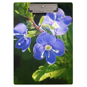 Porte-bloc Trois fleurs bleues