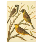 Porte-bloc Trois oiseaux domestiques perchés sur une branche (Dos)