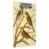 Porte-bloc Trois oiseaux domestiques perchés sur une branche (Swatch)