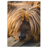 Porte-bloc Tu me manques (Dos)