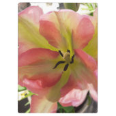 Porte-bloc Tulipe rose et jaune (Dos)