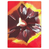 Porte-bloc Tulipe rouge écarlate (Dos)