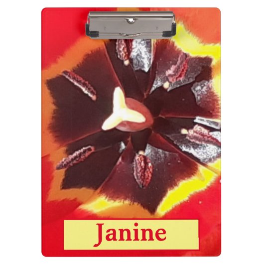 Porte-bloc Tulipe rouge écarlate (Devant)