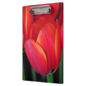 Porte-bloc Tulipes à ressort rouge (Gauche)