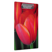 Porte-bloc Tulipes à ressort rouge (Swatch)
