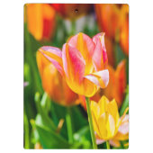 Porte-bloc Tulipes Enchanter 17 (Dos)