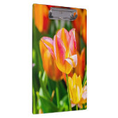 Porte-bloc Tulipes Enchanter 17 (Swatch)