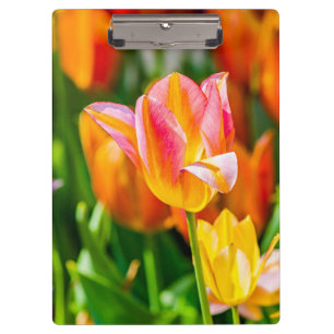 Porte-bloc Tulipes Enchanter 17