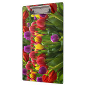 Porte-bloc Tulipes lumineuses (Gauche)