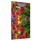 Porte-bloc Tulipes lumineuses (Swatch)
