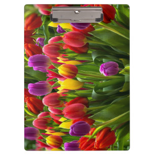 Porte-bloc Tulipes lumineuses