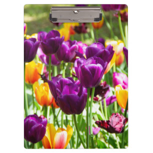 Porte-bloc Tulipes mignonnes pourpres et jaunes