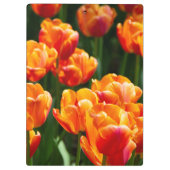 Porte-bloc Tulipes orange vif dans le parc (Dos)