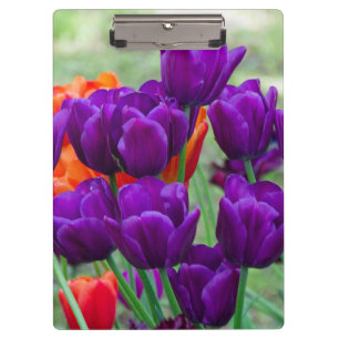 Porte-bloc Tulipes violettes foncées par beau temps dans le j