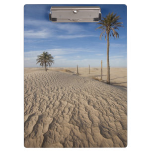 Porte-bloc Tunisie, désert du Sahara, Douz, Grande Dune, aube