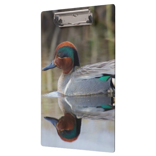 Porte-bloc Turquoise à ailes vertes (Gauche)