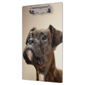 Porte-bloc Un chiot Brindle de boxeur recherchant (Gauche)