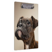 Porte-bloc Un chiot Brindle de boxeur recherchant (Swatch)