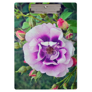 Porte-bloc Un rose violet