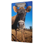 Porte-bloc Une vache Jersey curieuse (Gauche)