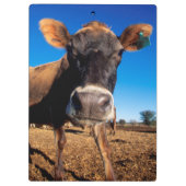 Porte-bloc Une vache Jersey curieuse (Dos)