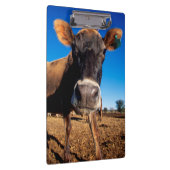 Porte-bloc Une vache Jersey curieuse (Swatch)