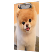 Porte-bloc Unique de Poméranie au charme doux (Gauche)