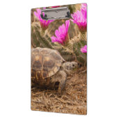 Porte-bloc USA, Texas, comté d'Hidalgo. Tortue (Gauche)