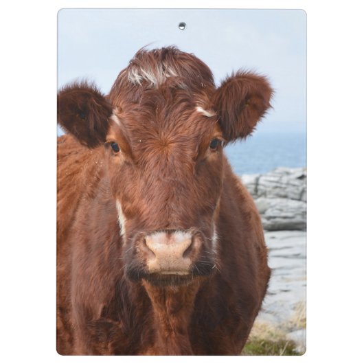 Porte-bloc Vache Brown (Dos)