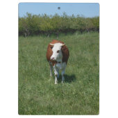 Porte-bloc Vache dans le pâturage (Dos)