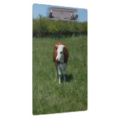 Porte-bloc Vache dans le pâturage (Swatch)